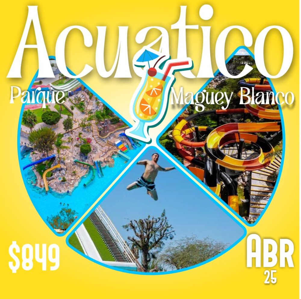 D Maguey Blanco Abril 25