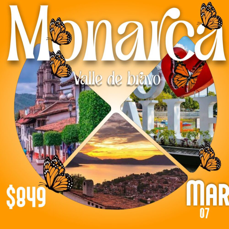 A Mariposa Monarca 07 marzo